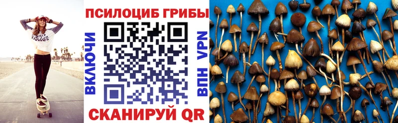 Галлюциногенные грибы GOLDEN TEACHER  Шахты 